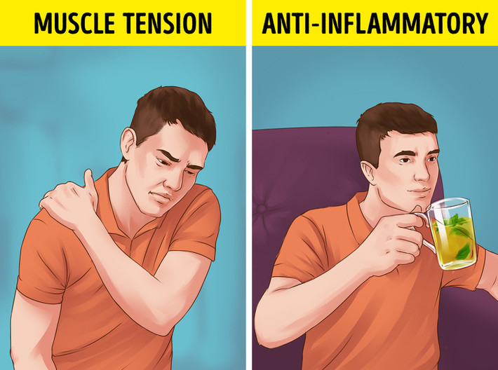 Trà bạc hà có đặc tính chống viêm, giúp giảm đau hiệu quả. Uống trà bạc hà trước khi ngủ giúp thư giãn các cơ trong cơ thể từ đó giúp bạn ngủ ngon hơn.
