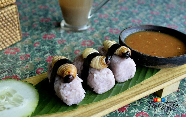 Đuông dừa được nhiều người ở bang Sabah (Malaysia) yêu thích. Loại côn trùng này còn trở thành nguyên liệu phổ biến sau khi chủ nhà hàng D'Place Kinabalu nghĩ ra món sushi đuông dừa.