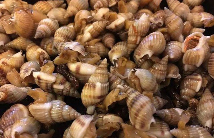 Do ngộ độc nặng nên sau 1 ngày nhập viện, bà Á. tử vong trong đêm 28/2; 2 người con may mắn thoát chết sau ca cấp cứu tích cực. Khi đưa 3 mẹ con đến cấp cứu, gia đình có mang theo những con ốc cực độc đã ăn. Đây là loại ốc bùn bóng (hay còn gọi là ốc răng cưa).