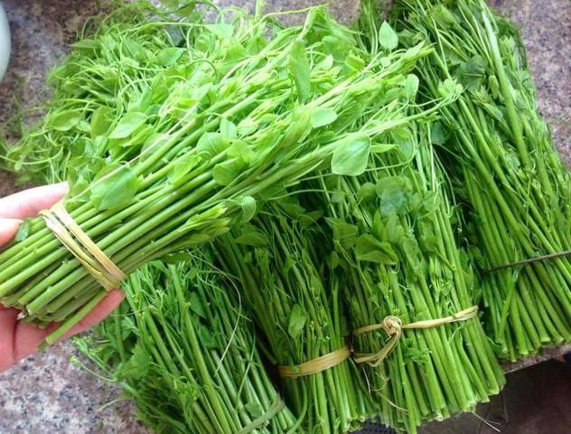 Hương vị của rau bò khai rất đặc biệt. Nó không hề bị lẫn với các loại rau rừng khác, là sự hòa quyện của hương đất, hương rừng và sự tinh khiết của khí trời vùng núi cao.