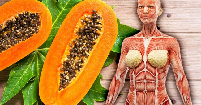 Tăng cường miễn dịch: Đu đủ cũng là loại quả chứa vitamin A, C và E - những chất cần thiết cho hệ miễn dịch. Do đó, hãy ăn đu đủ ít nhất một lần mỗi tuần để giúp cơ thể khỏe mạnh, ngừa bệnh tật.