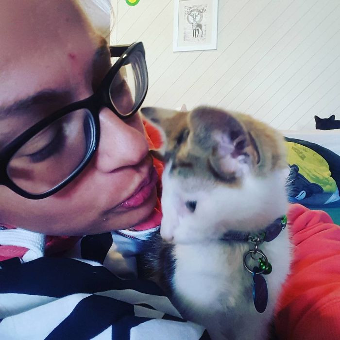 Frankie cũng gặp vấn đề về khớp ở chân sau. Đầu gối của Frankie không đúng vị trí. Răng nanh mọc lớn bất thường, đâm xuyên qua vòm miệng.
