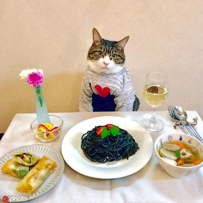 "Maro là một con mèo tuyệt vời, nó rất ngoan ngoãn và dễ chịu. Dù phải mặc các trang phục khác nhau, Maro vẫn chịu đứng yên để tôi chụp ảnh", cô Rie Matsui nói.