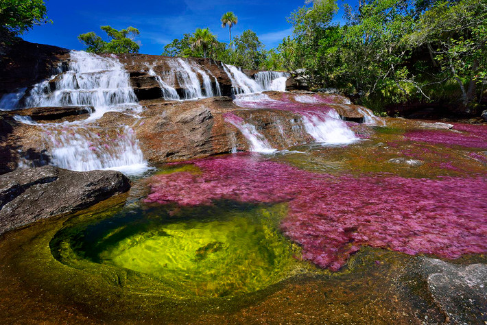 Do nằm ở khu vực hẻo lánh nên dòng sông Cano Cristales giữ được vẻ đẹp nguyên sơ và thơ mộng do thiên nhiên ban tặng. Thời điểm lý tưởng nhất để chiêm ngưỡng vẻ đẹp tuyệt mỹ tựa chốn thiên đường của "dòng sông ngũ sắc" Cano Cristales là mùa Hè.