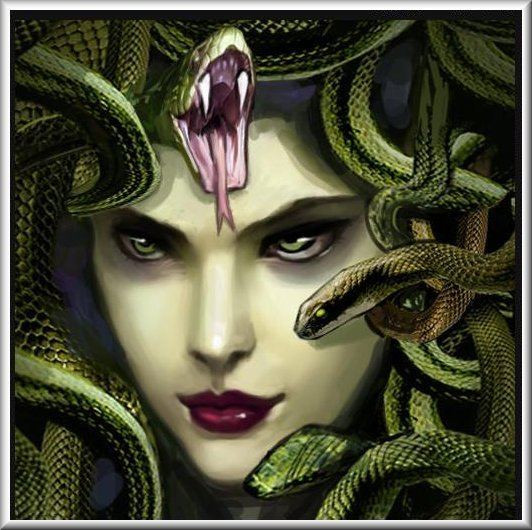 Với ngoại hình và khả năng chết chóc trên, không có người nào dám đến gần Medusa vì lo sợ sẽ gặp kết cục bi thảm bị hóa đá và chết.