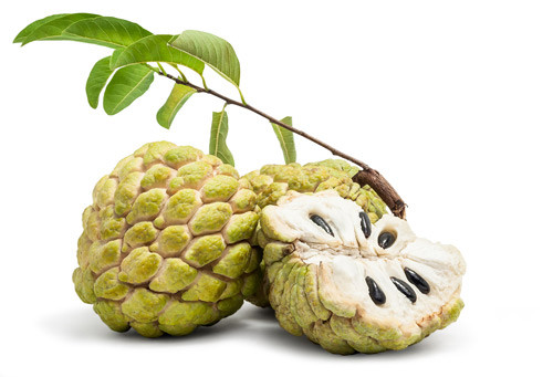 Là loại quả được yêu thích trong mùa hè, ngoài những lợi ích như cải thiện chức năng tim, giảm táo bón, tốt cho não bộ, phòng bệnh ung thư...thì ăn na cũng tiềm ẩn nhiều nguy hiểm chết người mà ít ai biết. Ảnh: Eva.
