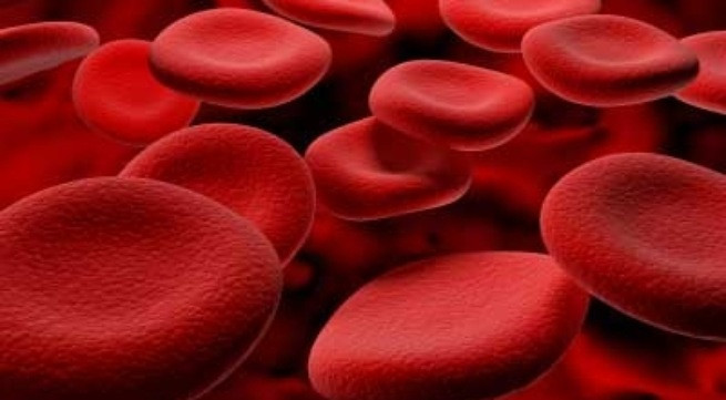Dừa khô có hàm lượng sắt cao có thể giúp bạn ngăn ngừa tình trạng thiếu máu. Phụ nữ nên thường xuyên ăn dừa khô để bổ sung sắt cho cơ thể giúp giảm nguy cơ thiếu máu, thiếu sắt.