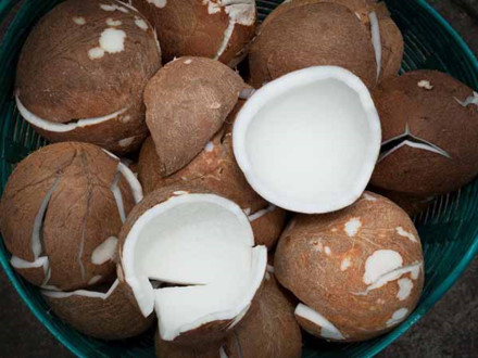 Với khí hậu nhiệt đới, Ai cũng biết quả dừa có nhiều công dụng tốt trong việc bảo vệ sức khỏe cũng như chữa bệnh. Tuy nhiên, lợi ích của quả dừa khô (dừa già) là gì thì không phải ai cũng biết rõ.