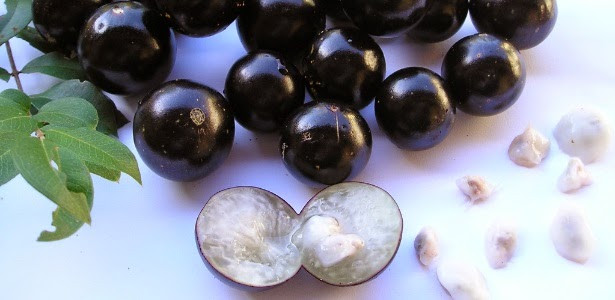 Nho có vị ngọt mát thường được ăn hoặc dùng để làm mứt, nước giải khát, rượu đều ngon miệng. Ảnh: Giongcaytrong.