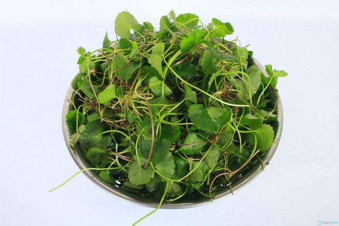 Phụ nữ bị rối loạn kinh nguyệt có thể dùng bài thuốc sau: Vỏ sầu riêng, cỏ mực, rau má mỗi loại 12gr; trắc bá diệp, ngải cứu mỗi loại 8gr; củ sả, cam thảo nướng (4gr); 3 bông hoa sen. Đem tất cả các nguyên liệu sắc lên hòa cùng 4gr ly việt cúc để uống điều hòa kinh nguyệt. Ảnh: Báo phụ nữ.