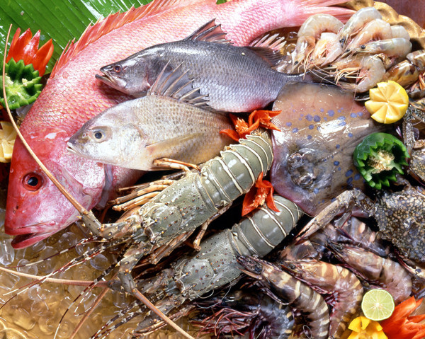 Lưu ý, cần tránh những loại thực phẩm tanh, cay nóng, mỡ động vật, thịt đỏ, mật ong. Ảnh: Thủy hải sản. (Thông tin trong bài mang tính chất tham khảo, vui lòng hỏi ý kiến bác sĩ khi sử dụng).