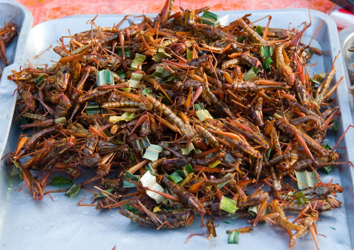 Cào cào rang mặn ăn kèm với cơm rất ngon miệng. Ngoài ra, có thể chấm với nước mắm chanh ớt làm đồ nhậu cũng không gì sánh bằng. Ảnh: Vietmania.