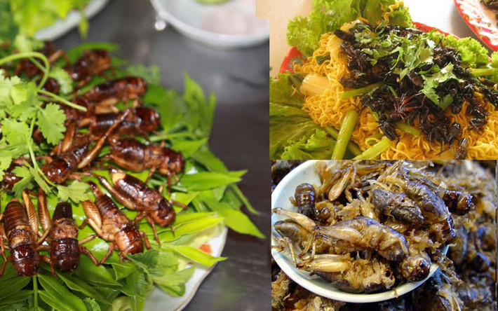 Dế thường được chiên kèm với lá chanh, sả ớt và một chút thịt ba chỉ thái nhỏ để tăng phần béo ngậy. Ảnh: Thế giới côn trùng