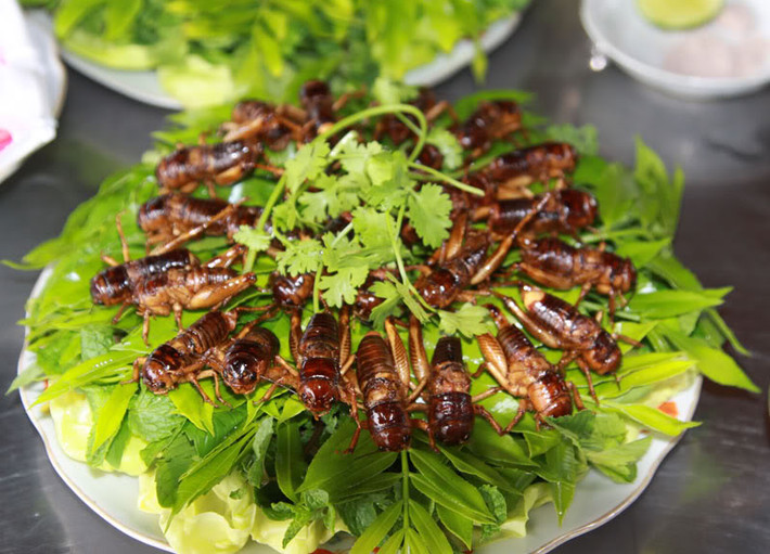 Dế chiên: Người ta thường ví vị ngon của dế giống như tôm sú, tôm hùm trên cạn vì không chỉ ngon mà còn có thể chữa được các bệnh đau nhức xương khớp, béo phì… Ảnh: Vietnam original travel.