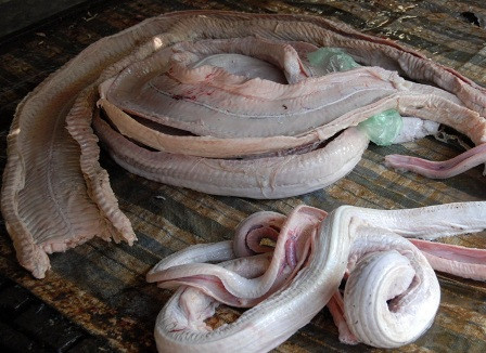 Trong thịt trăn có chứa nhiều thành phần giúp giảm đau, nhức mỏi. Người ta thường làm ruốc như một bài thuốc từ thịt trăn quý giá cho phụ nữ sau sinh ăn rất tốt. Ảnh: Blogsuckhoe.