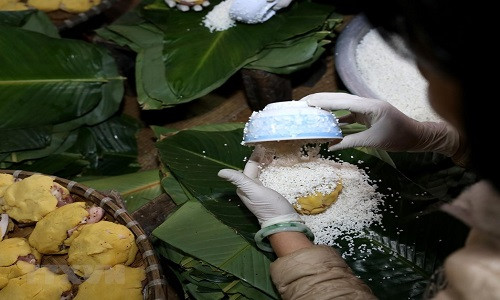 Làng Tranh Khúc thuộc xã Duyên Hà, huyện Thanh Trì (Hà Nội) từ lâu nổi tiếng với nghề gói bánh chưng. (Ảnh: Vũ Sinh/TTXVN)