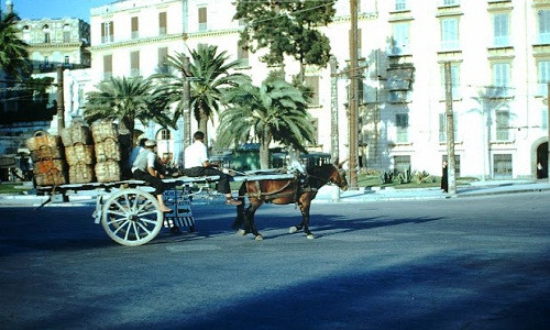 Cỗ xe ngựa kéo chở đầy hàng hóa phía sau di chuyển trên đường phố Naples của Italy.