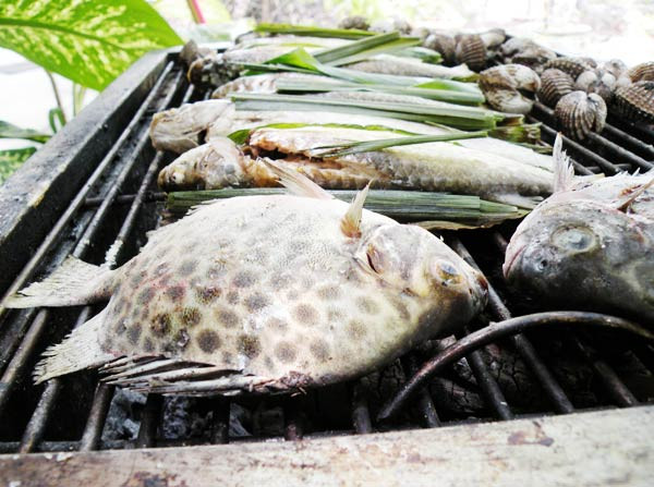 Để chế biến món cá nướng phải chọn cá hói to, dày mình, chừng 3 lạng/con bởi cá hói có da dày, phần đầu đuôi, vây... đã chiếm khá nhiều. Nếu cá nhỏ, non thì thịt nhũn, nhạt. Cá hói được mổ làm sạch ruột nhưng lưu ý tránh làm vỡ mật cá sẽ gây đắng thịt.