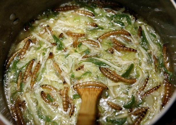 Để đem lại một khẩu vị mới lạ cho món ăn truyền thống của người Nhật, nhà hàng cho phép thực khách của mình có thể tùy chọn loại nước dùng với bất kì loại côn trùng nào họ thích.