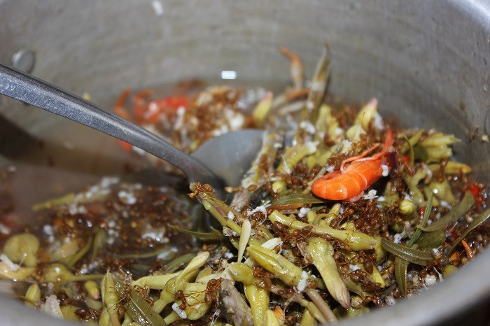 Món canh chua kiến có hương vị rất đậm đà, lúc nếm thử sẽ thấy vừa có vị ngọt và thơm của cá tươi lại vừa quyện vị chua chua, béo ngậy của kiến hòa quyện với vị đặc biệt của các loại rau được hái trong rừng.