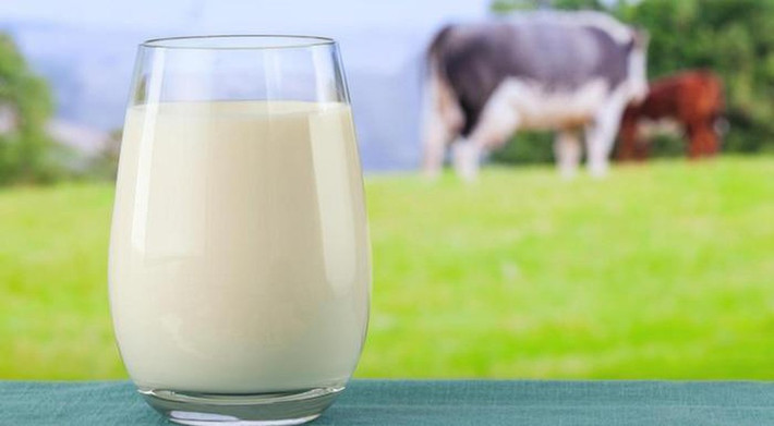 Sữa bò: Nhiều mẹ muốn cho con uống thêm sữa bò để giúp con tăng cân, mau lớn ngoài việc uống sữa mẹ, sữa công thức. Nhưng với bé dưới 1 tuổi, các mẹ tuyệt đối không nên cho con uống sữa bò. Hàm lượng protein quá dồi dào trong sữa bò sẽ tăng nguy cơ bị dị ứng ở trẻ, đồng thời có thể làm trẻ bị đầy bụng, khó tiêu và thêm nhiều rắc rối về hệ tiêu hóa khác.