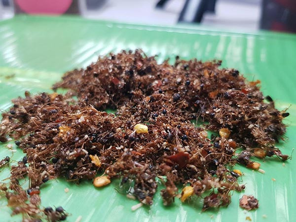 Muối kiến vàng được làm từ con kiến vàng sống ở trên cây cao. Nó có thành phần dinh dưỡng cao, đạm từ 42-67% và có 28 loại acid amin, là một loại kiến chân cao, thân hình màu vàng, làm tổ trên cây ở vùng rừng núi.