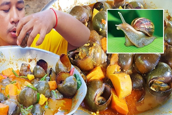 Nhắc đến ốc sên, nhiều người cảm thấy rợn người vì hình dáng và kết cấu của loài ốc này. Thế nhưng ở Ấn Độ, có một món ăn kinh dị gọi là ốc sên hầm - một đặc sản vô cùng phổ biến.