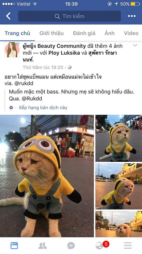 Với vẻ ngoài đáng yêu của mình, hình ảnh của Chó không chỉ gây sốt trong cộng đồng mạng Việt Nam mà còn lan sang một số quốc gia châu Á khác như Thái Lan và Trung Quốc.