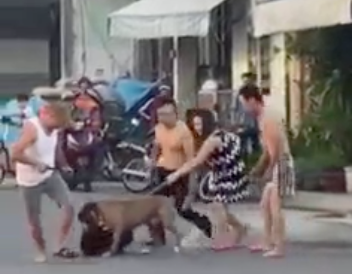 Chó pitbull gây náo loạn khu phố Đà Nẵng. Ngày 28/7, mạng xã hội xuất hiện video ghi lại cảnh chó pitbull hung dữ tấn công một con chó cỏ khác gây náo loạn tại đường Trần Huy Liệu (phường Khuê Trung, quận Cẩm Lệ, Đà Nẵng). Theo video, 5 người đã dùng gậy giải cứu cho chú chó cỏ nhưng chó pitbull vẫn không nhả. Dù không gây thương tích cho người tuy nhiên, dư luận lên án người chủ chó pitbull vì nuôi chó dữ thả rông, gây nguy hiểm cho người khác.