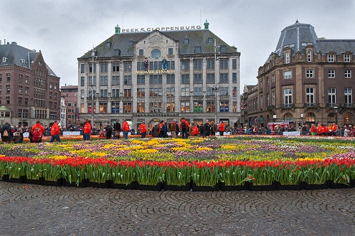 Mùa hoa Tulip được bắt đầu chính thức vào ngày quốc hoa Tulip của Hà Lan. Mùa Tulip rơi vào khoảng thời gian từ tháng 1 đến cuối tháng 4.