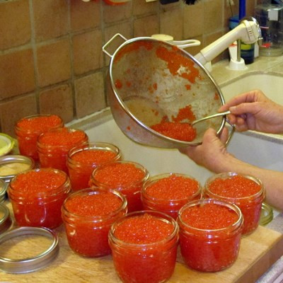 Kết thúc quá trình muối trứng cá sẽ được chia ra các hộp, trộn dầu và gia vị để đóng hộp, bảo quản.