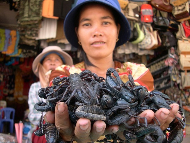 Ở Việt Nam, chợ biên giới Tịnh Biên - An Giang cũng nổi tiếng với các món côn trùng như nhện, rết, bò cạp, mối chúa…
