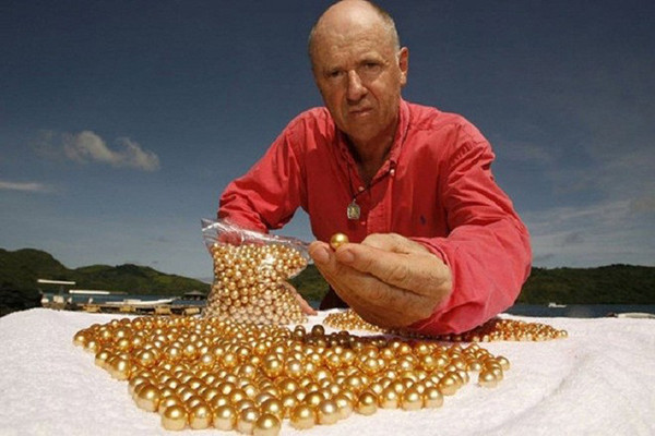 Ông Jewelmer, người Pháp, là một trong số ít người trên thế giới nắm bắt được bí quyết nuôi cấy ngọc trai vàng.