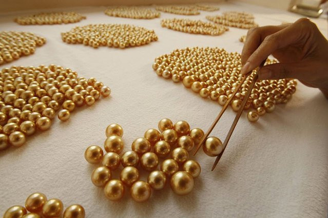 Một viên ngọc hoàn hảo phải đạt được tiêu chuẩn về độ bóng, màu sắc, kích thước. Viên ngọc càng to, càng tròn, càng bóng thì giá trị càng cao.