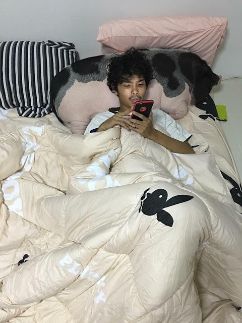 Theo tờ Sohu, “người yêu” của chàng trai ở xứ sở Chùa Vàng này có tên là Junior. Sau 1 năm được cậu chủ yêu thương và chăm sóc, Junior từ một chú heo con bé xinh giờ đã trở nên ngoại cỡ.
