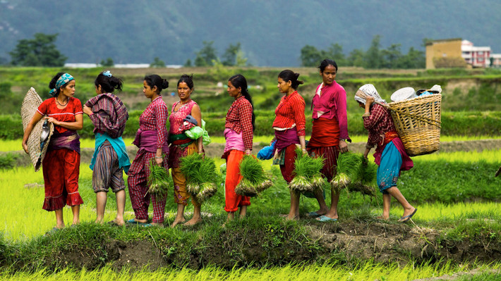 Tại Nepal, phần lớn xã hội tuân theo chế độ đa thê. Tuy nhiên, ở khu vực phía Bắc Nepal, người dân lại theo chế độ đa phu.