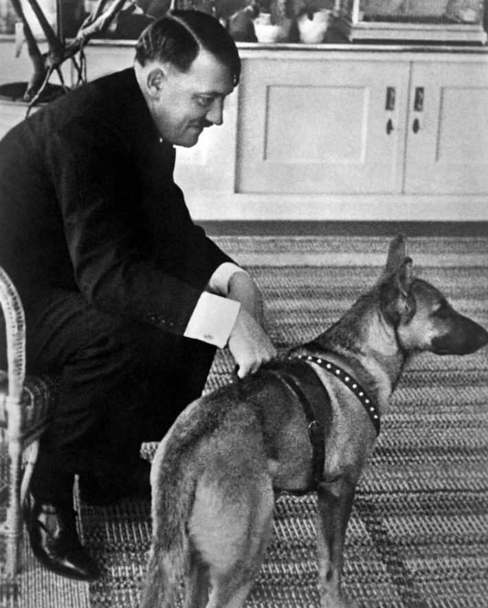 Hitler có thói quen khá lạ đó là ôm động vật đi ngủ cùng. Có lần, Hitler ôm những con chim hoàng yến một tay. Phía tay còn lại để chú khuyển cưng của trùm phát xít nằm bên cạnh.