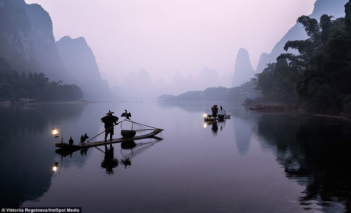 Mỗi buổi sáng, ngư dân thường dành 2 - 3 giờ để đánh cá theo phương pháp này. Trung bình, mỗi ngày, chim cốc cùng ngư dân đánh bắt được khoảng 4 kg cá.