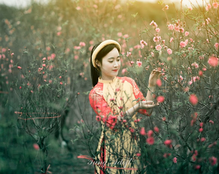 Vốn là cô giáo dạy Địa thân thiện, dễ mến, cũng muốn có một bộ ảnh làm kỷ niệm nên cô giáo xinh đẹp đã đồng ý lời đề nghị của hai học trò cũ mà cô rất quý mến.