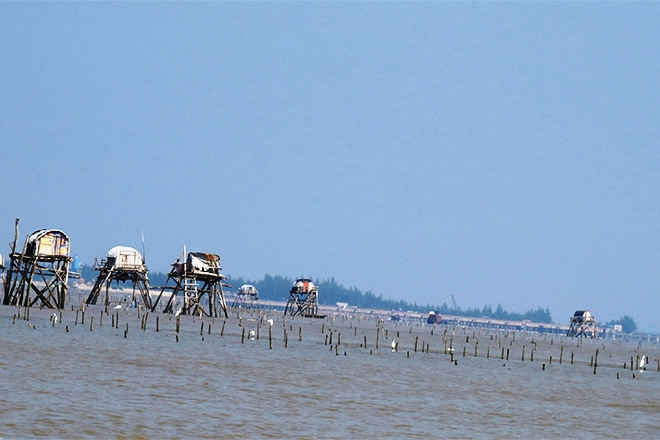 Thi thể người đàn ông trói tay, chân buộc đá ở bãi ngao. Khoảng 12h ngày 11/3/2022, Công an huyện Tiên Lãng nhận được tin tại khu vực biển cồn Xương Cá, xã Vinh Quang,Tiên Lãng, Hải Phòng, Đồn Biên phòng Vinh Quang phát hiện 1 tử thi nam giới (chưa rõ lai lịch) trong trạng thái bị trói chân, tay, buộc nối với đá trôi dạt đến.