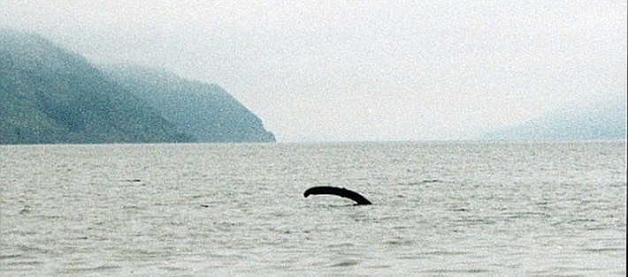 Từ những thông tin thu thập được, tác giả Andy cho rằng, quái vật Nessie có thể có những "người anh em" khác đang ẩn náu ở các hồ nước, sông, đầm khác của Anh, bao gồm hồ Bala.