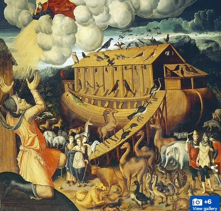 Với phát hiện quan trọng tại Doğubayazıt, các nhà nghiên cứu hy vọng việc phân tích các mẫu vật và kiểm tra khu vực xung quanh sẽ giúp tìm ra bằng chứng khoa học để xác định đó có thực sự là tàn tích con tàu Noah hay không.