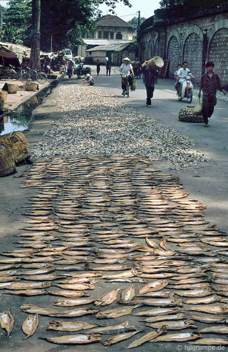 Cá khô là thực phẩm khá phổ biến trong bữa cơm hàng ngày của người dân Hà Nội.