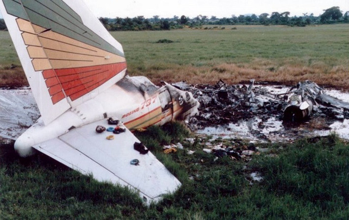 Tai nạn thương tâm do đàn chim bồ câu: Ngày 15/9/1988, chiếc Boeing 737-260 của Hãng hàng không Ethiopia đã đâm phải một đàn chim bồ câu. Phi công đã tìm cách đưa máy bay trở lại đường băng, nhưng hai động cơ đã bị hỏng. Khi chạm đất, máy bay bị vỡ và bốc cháy. Vụ tai nạn khiến 35 trong số 102 người trên máy bay thiệt mạng.