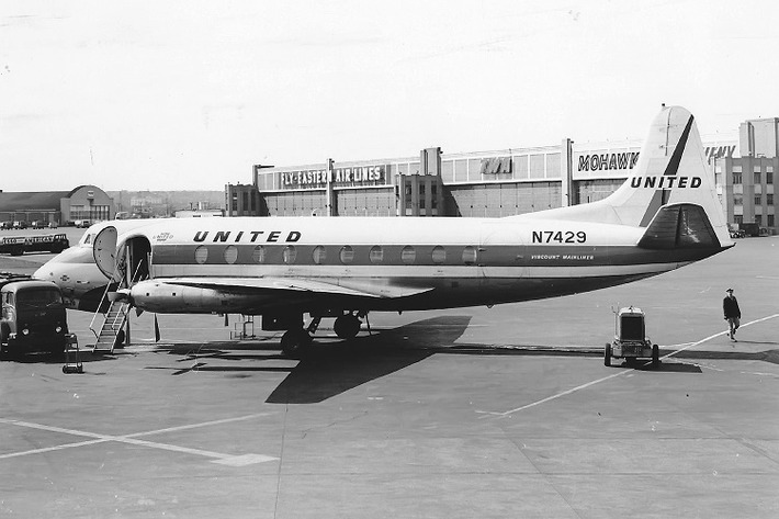 Máy bay rơi vì đụng trúng thiên nga huýt sáo: Ngày 23/11/1962, chiếc máy bay Vickers 745D Viscount của hãng United Airlines, cất cánh từ Newark để đi Washington D.C (Mỹ), đã xảy ra va chạm với một đàn thiên nga huýt sáo. Chiếc máy bay bị mất kiểm soát và rơi xuống mặt đất từ độ cao hơn 1.800m. Toàn bộ 17 người trên máy bay đều thiệt mạng.