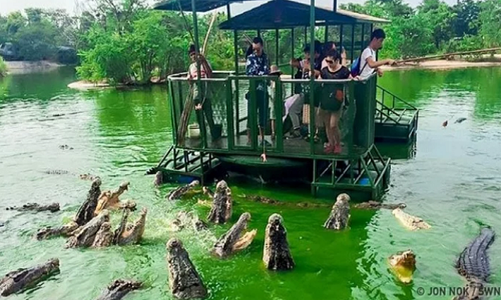 Đảo Ramree ở Myanmar nằm trong số những hòn đảo nguy hiểm nhất hành tinh bởi lẽ đây là nơi sinh sống của một trong những sinh vật nguy hiểm nhất thế giới. Theo Wonders List, trong Thế chiến II, 400 lính Nhật đã thiệt mạng do bị cá sấu tấn công sau khi xâm nhập vào đầm lầy cá sấu trên đảo này. (Ảnh: IT)