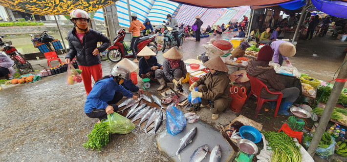 Chợ Quán là chợ ven biển nên không thể thiếu các loại thủy, hải sản với giá bình dân.