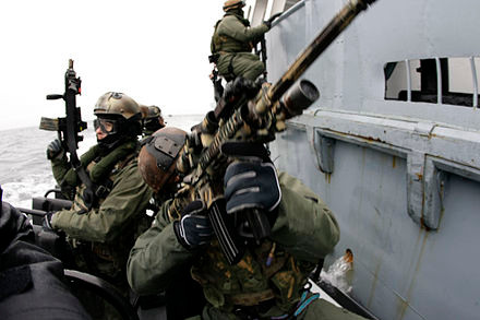SEAL Team 6 chủ yếu thực hiện các hoạt động tìm kiếm và tiêu diệt khủng bố.
