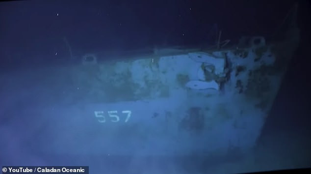 Theo các chuyên gia, tàu khu trục USS Johnston bị đắm vào ngày 25/10/1944 sau một trận chiến dữ dội với hải quân Nhật Bản. Trong số 327 thủy thủ trên tàu USS Johnston, 186 người thiệt mạng.