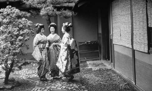Vẻ đẹp duyên dáng, thướt tha của những Geisha trong trang phục kimono truyền thống và kiểu tóc được làm cầu kỳ, cẩn thận.